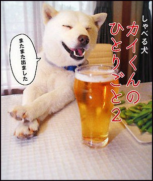 japan beer
